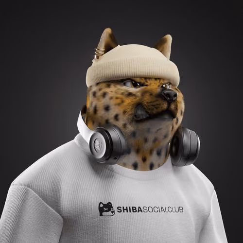 Shiba #22