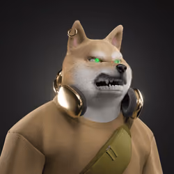 Shiba #893