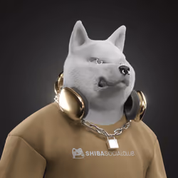 Shiba #3867