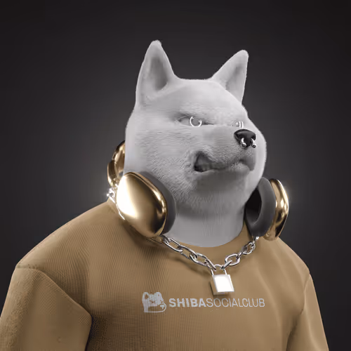 Shiba #3867