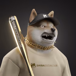 Shiba #4365