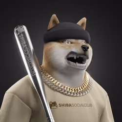 Shiba #1033