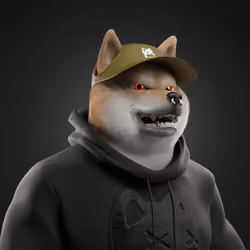 Shiba #1648