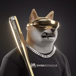 Shiba #2986