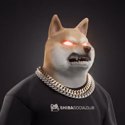 Shiba #2089