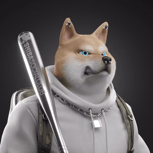 Shiba #4488