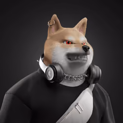 Shiba #1501