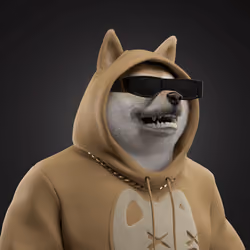 Shiba #1353