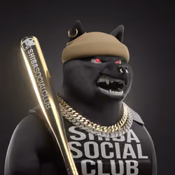 Shiba #4357