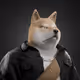 3164