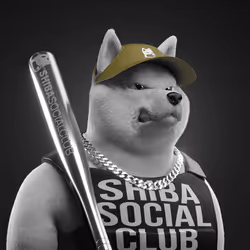 Shiba #1505