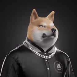 Shiba #2524