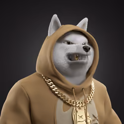 Shiba #1362