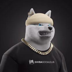 Shiba #1502