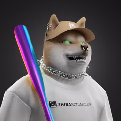 Shiba #3270