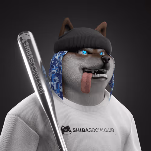 Shiba #2786