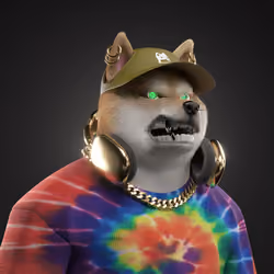 Shiba #1578