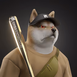 Shiba #6677
