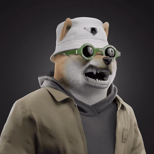 Shiba #3054
