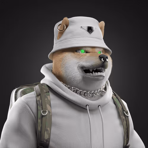 Shiba #2742