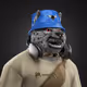 17