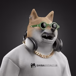 Shiba #6405