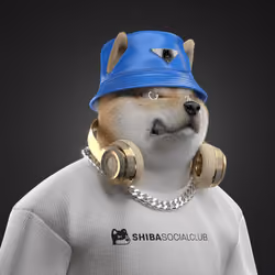 Shiba #3242
