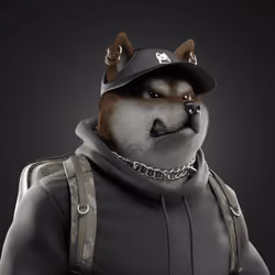 Shiba #5575
