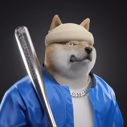Shiba #6945