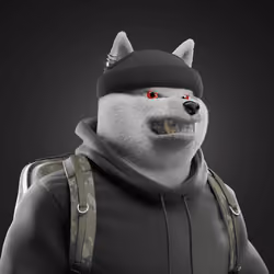 Shiba #3845