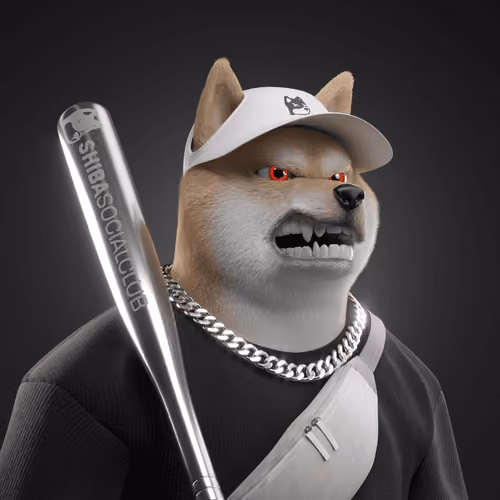 Shiba #6839
