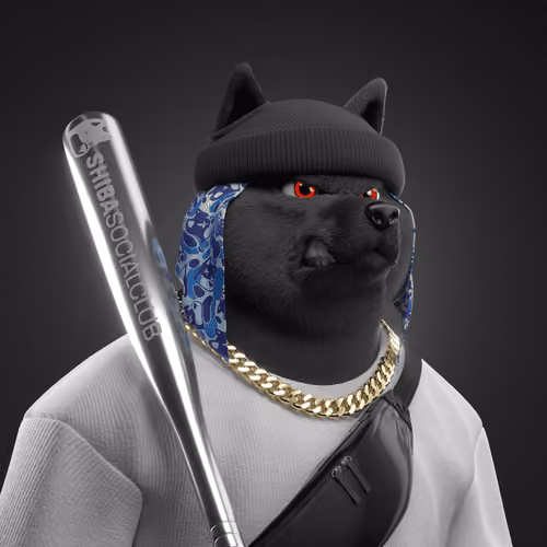 Shiba #6094