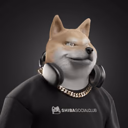 Shiba #3067