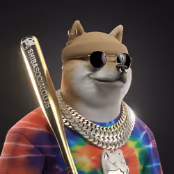 Shiba #976