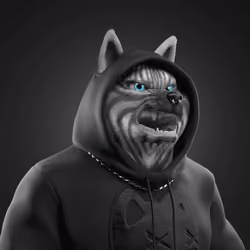 Shiba #4653