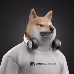 Shiba #3999