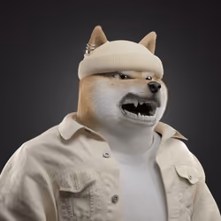 Shiba #6214