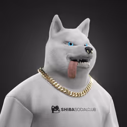 Shiba #5217
