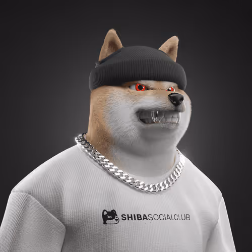 Shiba #4885