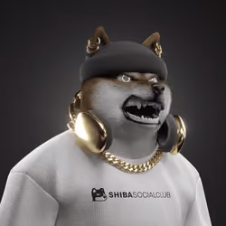Shiba #2990