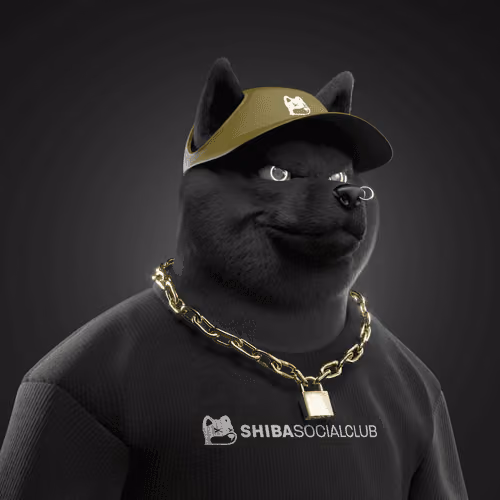 Shiba #6183