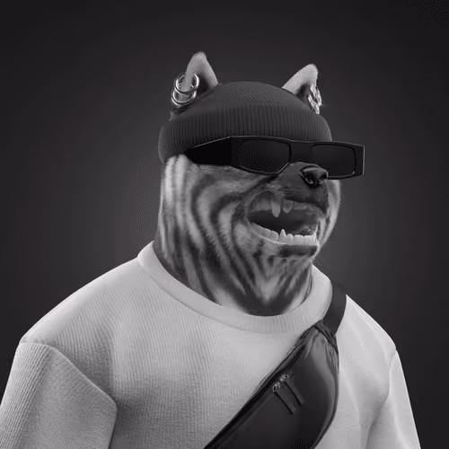 Shiba #5952