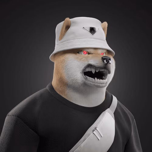 Shiba #2824