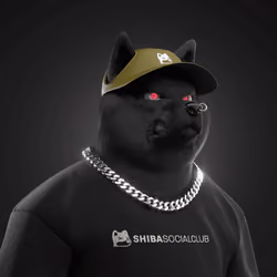 Shiba #2571