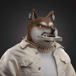 Shiba #6461