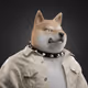 6355