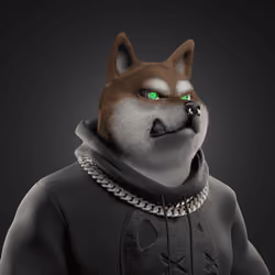 Shiba #4200