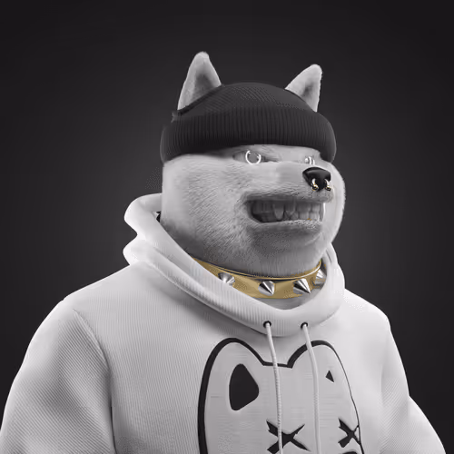 Shiba #31