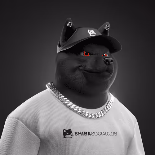 Shiba #6854