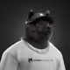 6854